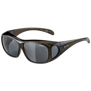 Alpina Snow Lunettes De Soleil Overview pas cher