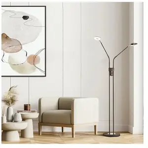 Comparateur de prix : FISCHER & HONSEL Dent Lampadaire LED avec CCT, 2 sources lumineuses, 40300,