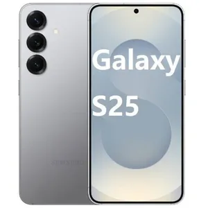 SAMSUNG Galaxy S25 Smartphone 5G 12+256Go Gris - Version Global pas cher