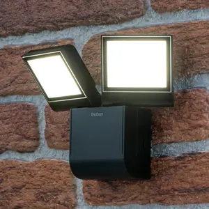 Comparateur de prix : Applique d'extérieur LED theLeda S17-100L de Theben, noir, à 2 lampes