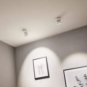 Comparateur de prix : Kit luminaire LED SPIRCLE 38° en saillie blanc 8W Paulmann