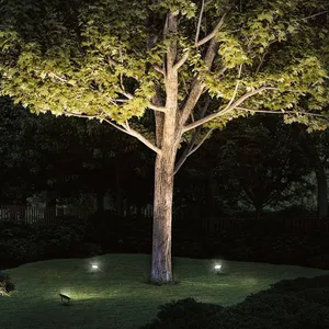 Comparateur de prix : 94575 Système d'éclairage Plug&Shine 16 w blanc chaud noir - Paulmann