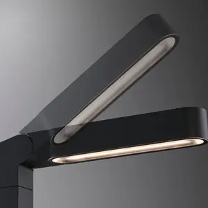 Comparateur de prix : Paulmann Plug & Shine Borne lumineuse Ito verticale
