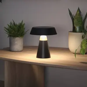 Lampe rechargeable Paulmann Lirox pas cher