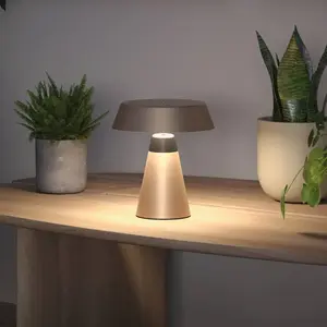Lampe rechargeable Paulmann Lirox pas cher