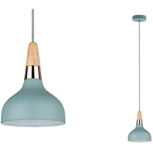 Comparateur de prix : Paulmann Paulmann Juna Suspension, À 1 Lampe, Ø 16 Cm