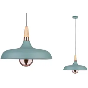 Comparateur de prix : Paulmann Juna suspension, à 1 lampe, Ø 34,2 cm