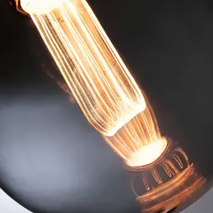 PAULMANN 28876 LAMPE LED EDITION INNER GLOW GLOBE G125 80 LM VERRE FUM pas cher