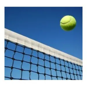 Filet de tennis (+câble de fixation) pas cher