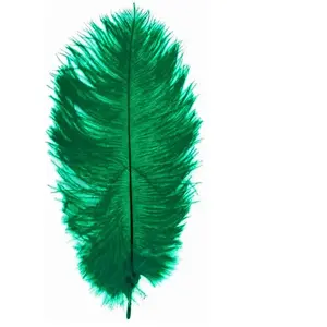 RueDeLaFete Lot de 5 Plumes d'Autruche Spadona 50cm, Vert pas cher