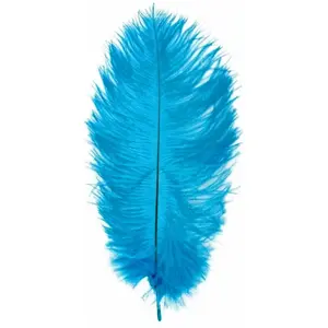 RueDeLaFete Lot de 5 Plumes d'Autruche Spadona 50cm, Turquoise pas cher