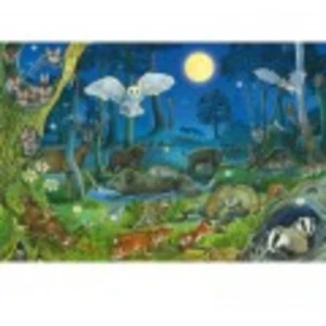 Schmidt Spiele Puzzle 100 pieces Animaux dans la foret nocturne pas cher