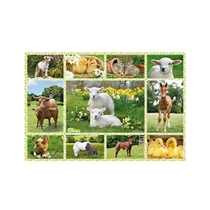 SCHMIDT AND SPIELE Puzzle enfant - Bebe animaux a la ferme - 100 pcs