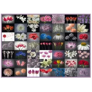 Puzzle Adulte Pensée Fleurie - Schmidt Spiele - 2000 Pièces - Paysage et nature