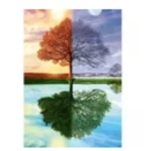 Schmidt , The Seasons Tree Puzzle - 500pc, Puzzle, Ages 12+, 1 Players