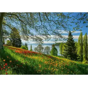 Schmidt Spiele Puzzle 1000 pièces - Tulipes en fleurs : Île de Mainau pas cher