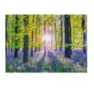 Tapis de Campanules dans les Bois 1000 Pièces Schmidt Spiele pas cher