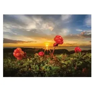 Heye Puzzle 1000 pièces : Cloudbeeries pas cher