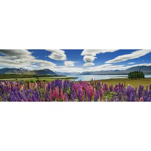 Heye - PUZZLE 1000 pièces - PANO LAKE TEKAPO EDIT HUMBOLDT pas cher
