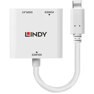 Lindy Convertisseur USB Type C vers DisplayPort avec Power Delivery