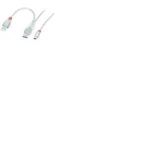 Lindy Câble USB 2.0 Dual Power, Type A x 2 (20cm) / Mini-B, 2m
