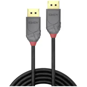 LINDY Câble DisplayPort 1.4 - Anthra Line - 0.5m
