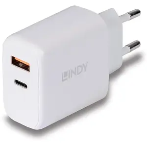 Comparateur de prix : Lindy adaptateur secteur - USB de type A 4 broches/USB-C 24 broches - 30 Watt