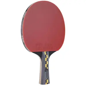 Comparateur de prix : JOOLA RAQUETTE DE TENNIS DE TABLE EN CLUB CARBON PRO 5*