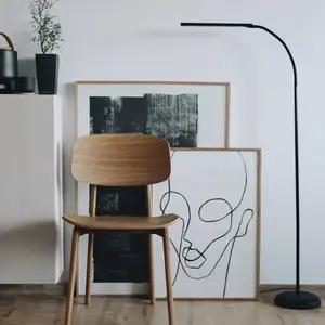 Comparateur de prix : MAUL Lampadaire à LED MAULpirro, dimmable, noir