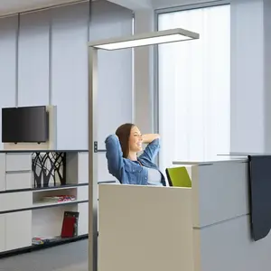 Comparateur de prix : Lampadaire de bureau LED MAULsenja, couleur argent, capteur, 196 cm