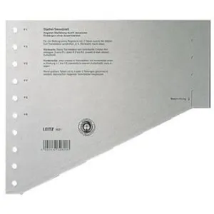 Comparateur de prix : Esselte-leitz 16510085 intercalaire cartonnée format a4 (gris)