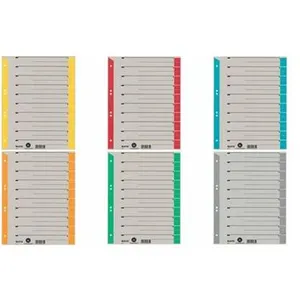 LEITZ Intercalaires, format A4 extra large, en carton solide () pas cher