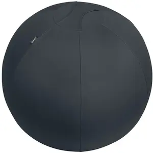 Comparateur de prix : Ballon de siège - Leitz - 65 cm - Gris foncé - Supporte jusqu'à 120 kg - Anti-basculement TÜV