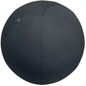 Leitz Balle De Siège Antidérapante Active 75 Cm pas cher
