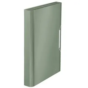 Comparateur de prix : Leitz Trieur en polypro Vert effet Brossé