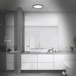 Comparateur de prix : BRILONER Leuchten - Plafonnier LED pour salle de bains avec rétroéclairage, lampe de salle de bains LED IP44, extra-plat, lumière blanc neutre, noir, 290x35 mm (DxH)