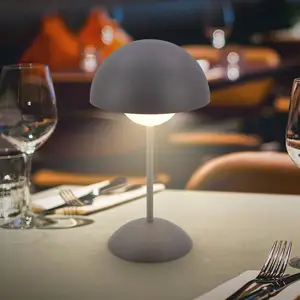 Comparateur de prix : Briloner Lampe à poser rechargeable LED Kugle, anthracite, métal, IP44...