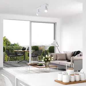 Comparateur de prix : Briloner Plafonnier Run, orientable, à 2 lampes, blanc