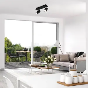 Comparateur de prix : Briloner Plafonnier 2857-025, inclinable, à 2 lampes, noir