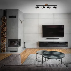 Comparateur de prix : Briloner Wood & Style 2920 spot pour plafond à 4 lampes