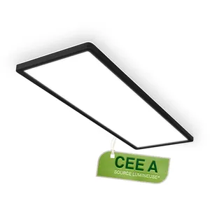 Briloner Panneau LED avec source lumineuse CEE A* 58 cm rectangulaire ... pas cher