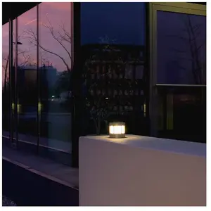Albert Leuchten Universal Borne lumineuse sur socle, LED, 620326,