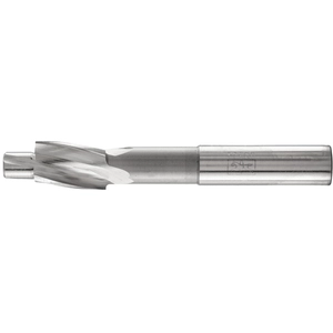 Comparateur de prix : Fls hss din 373 15,0 f 25203104 Fraise plate 15 mm hss 1 pc(s) Y130392 - Pferd