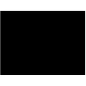 Fond en Tissu Y-9 Bresser 6x6m noir