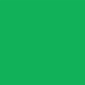 Bresser Fond Papier de Studio 1,36 x 11m - Vert Chromakey