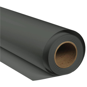 Bresser Document De Fond Sbp01 2.72x6 M pas cher