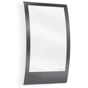 STEiNEL Lampe d'extérieur L 22 anthracite, garniture en acier inoxydab...