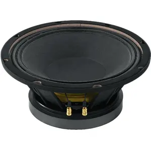 MONACOR SP-10/250PRO Haut-parleur de grave, subwoofer, 250 W, 8 O - Subwoofers hi-fi