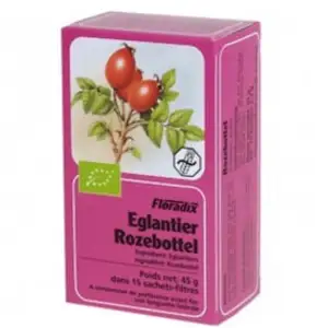 Salus Tisane Églantier Bio - 15 sachets pas cher