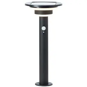 Lot De 4 Torches Solaires Effet Flamme LED - 64,5 Cm - Autonomie 16h - Blanc Chaud - Pour Jardin, Allée